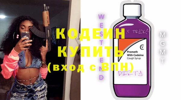 индика Белая Холуница