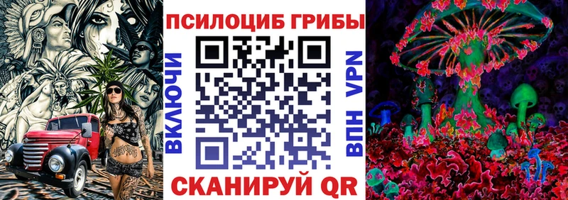 Галлюциногенные грибы мицелий  наркотики  Заринск 