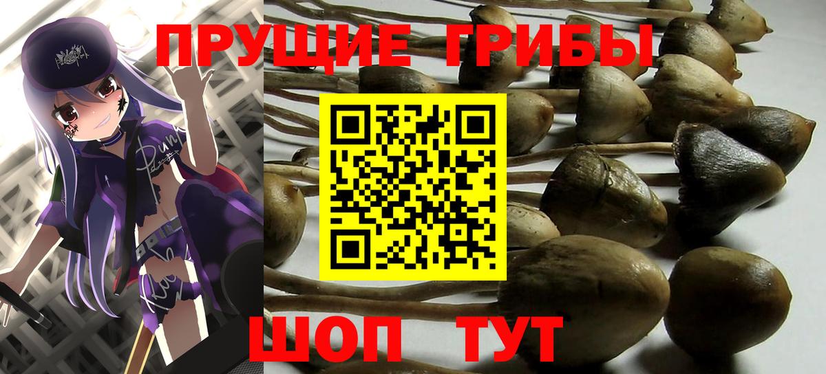 Заринск  Псилоцибиновые грибы мицелий  Вход с VPN  Галлюциногенные грибы мухоморы 