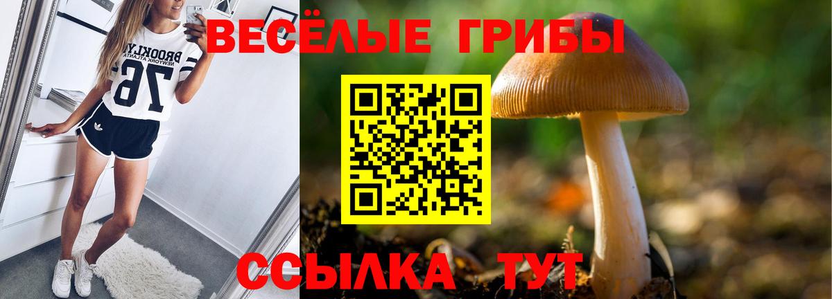 Галлюциногенные грибы Psilocybe  Заринск 