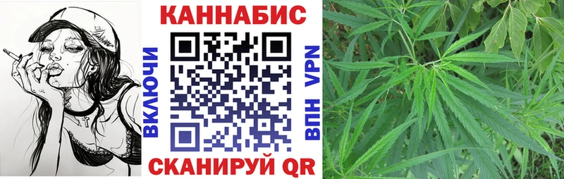 Каннабис план Заринск